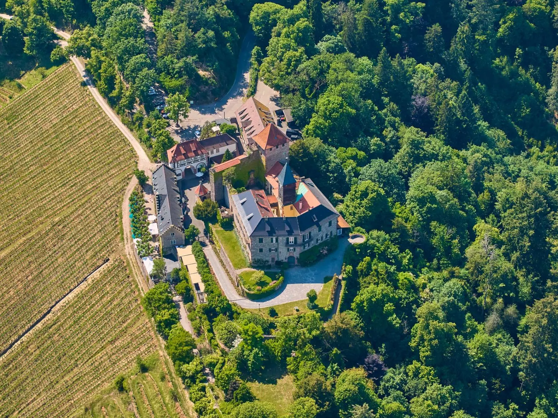Burganlage mit Türmen und Innenhöfen über Weinbergen, aus der Luft